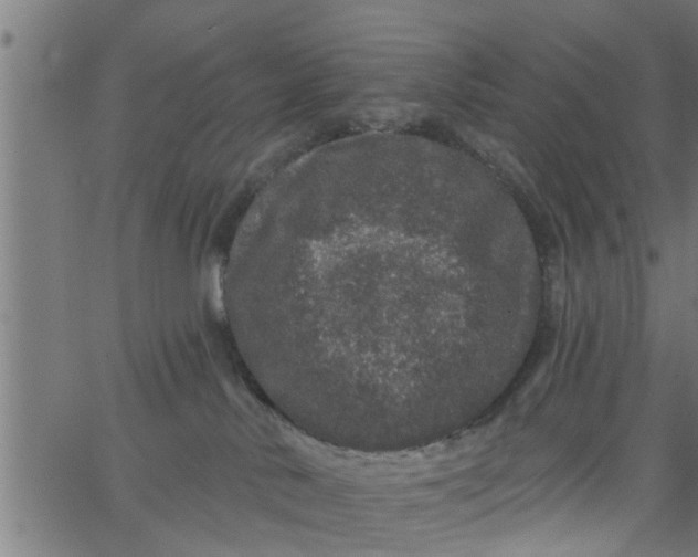 X0000066530042200603311831