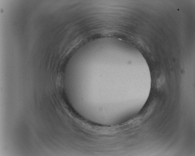 X0000066530044200603311831