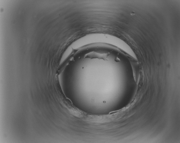 X0000066530045200603311831