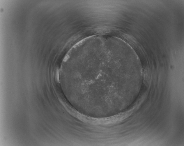 X0000066530046200603311831