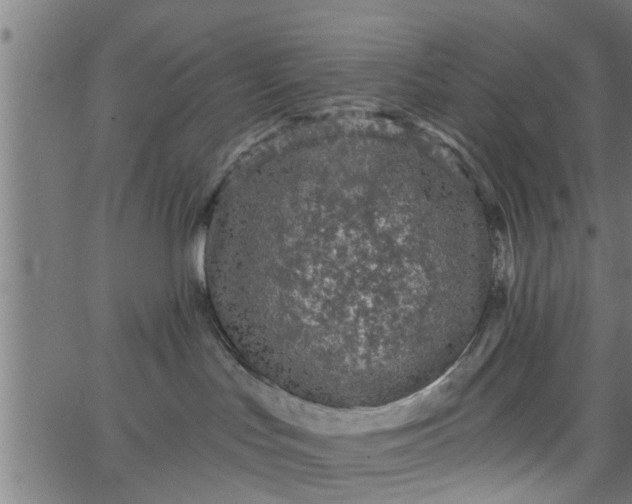 X0000066530047200603311831