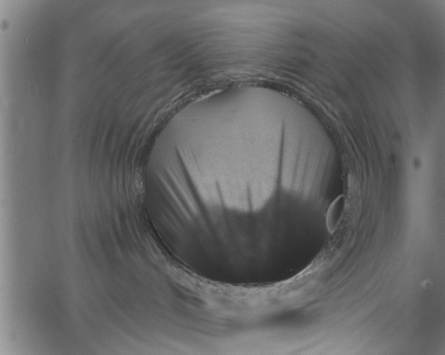 X0000066530048200603311831