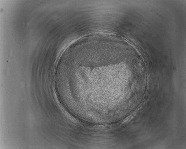 X0000066530049200603311830