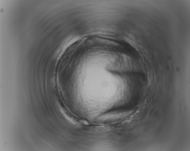 X0000066530050200603311830