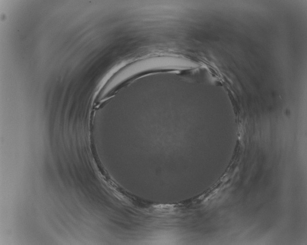 X0000066530052200603311830