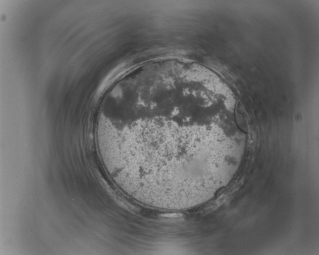 X0000066530053200603311830