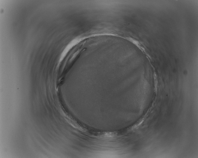 X0000066530056200603311830