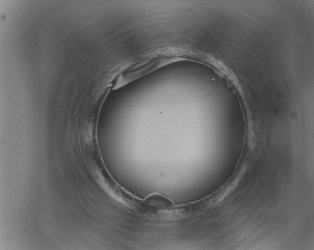 X0000066530057200603311830