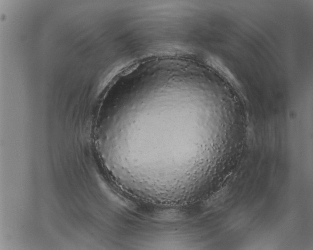 X0000066530058200603311830