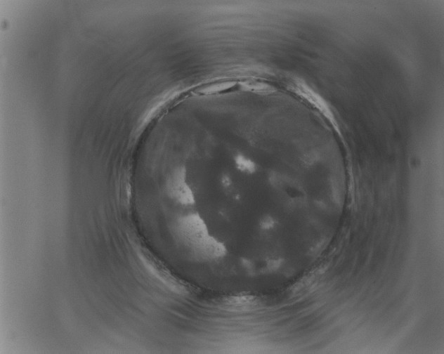 X0000066530059200603311830