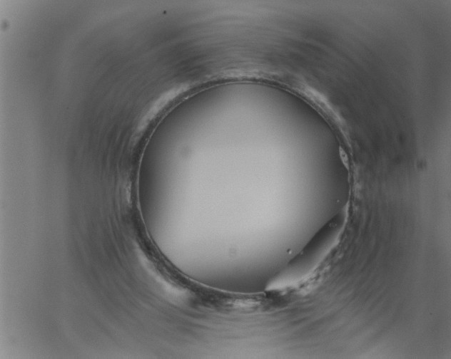 X0000066530060200603311830