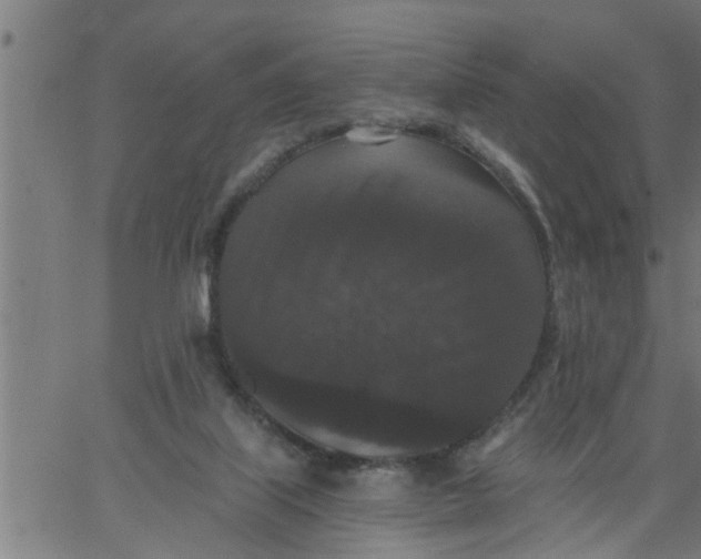 X0000066530067200603311830