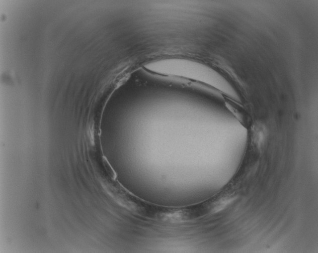 X0000066530068200603311830