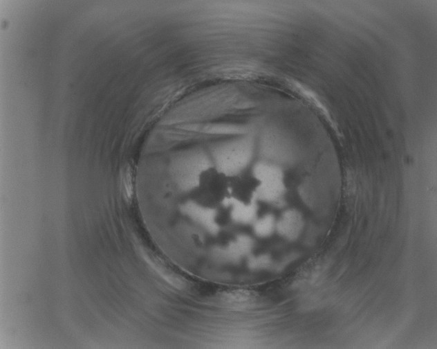 X0000066530069200603311830