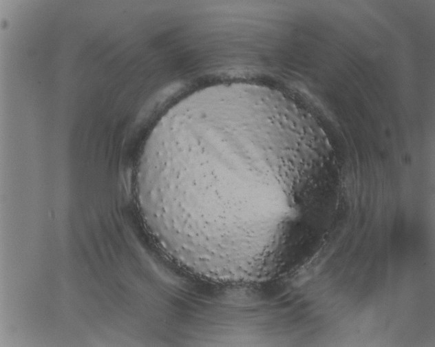 X0000066530070200603311830