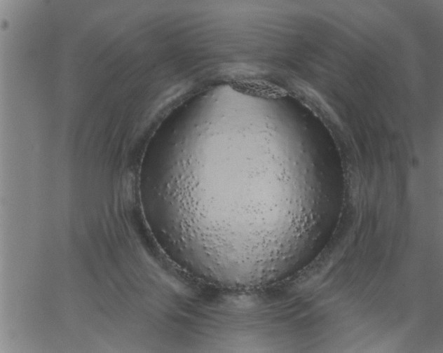 X0000066530071200603311830