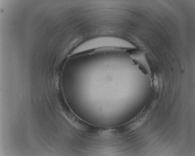 X0000066530072200603311830