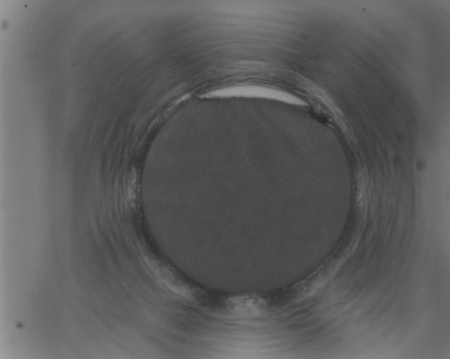 X0000066530073200603311830