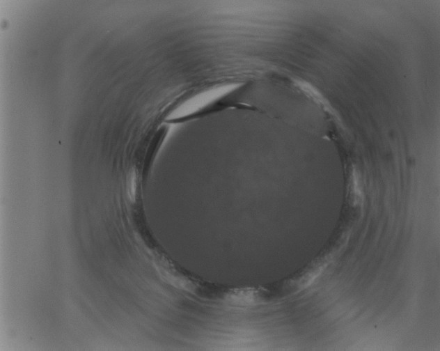 X0000066530076200603311830