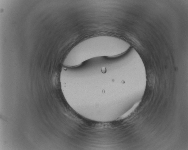 X0000066530077200603311830