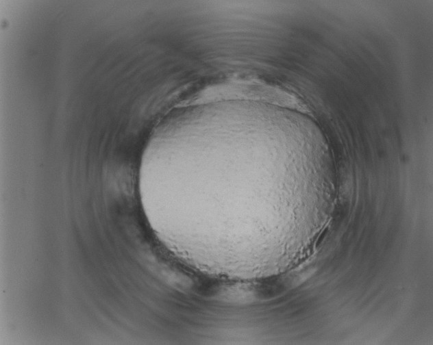 X0000066530078200603311830