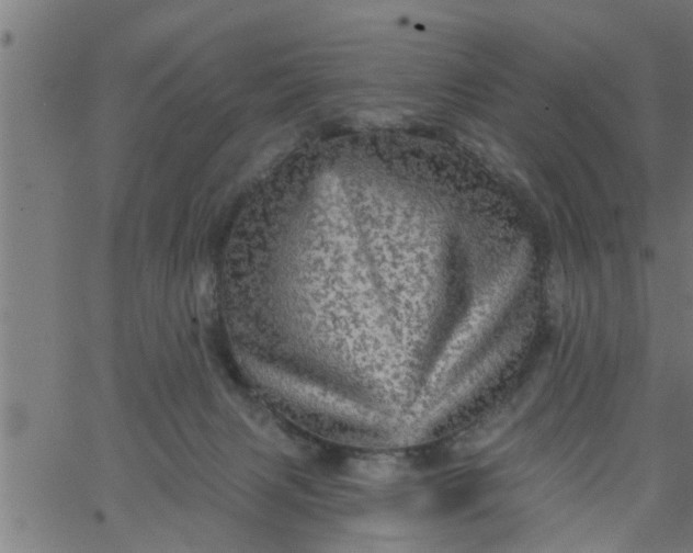 X0000066530079200603311830