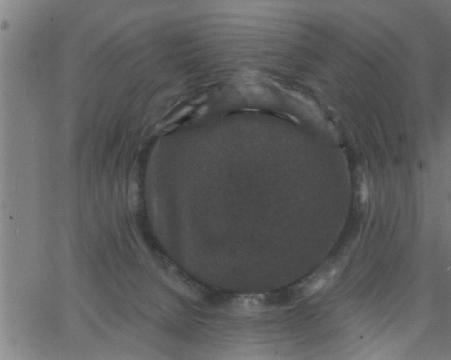 X0000066530080200603311830