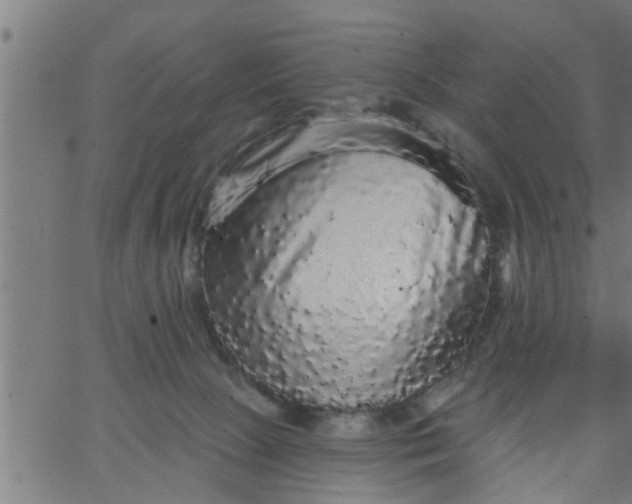 X0000066530081200603311830