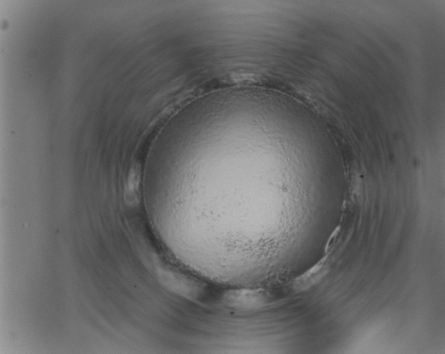 X0000066530082200603311831