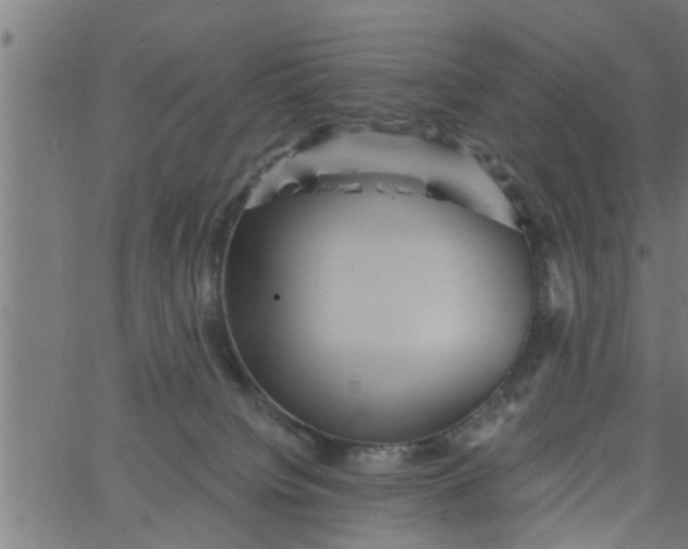 X0000066530084200603311831