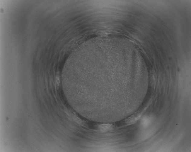 X0000066530085200603311831