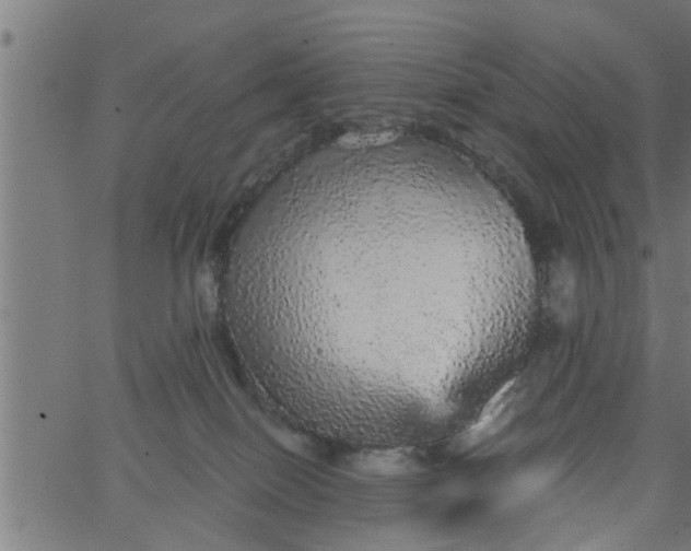 X0000066530086200603311831