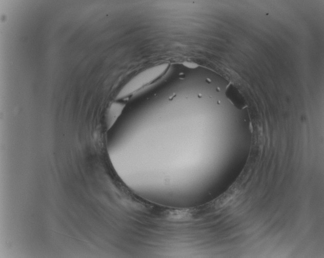 X0000066530088200603311831