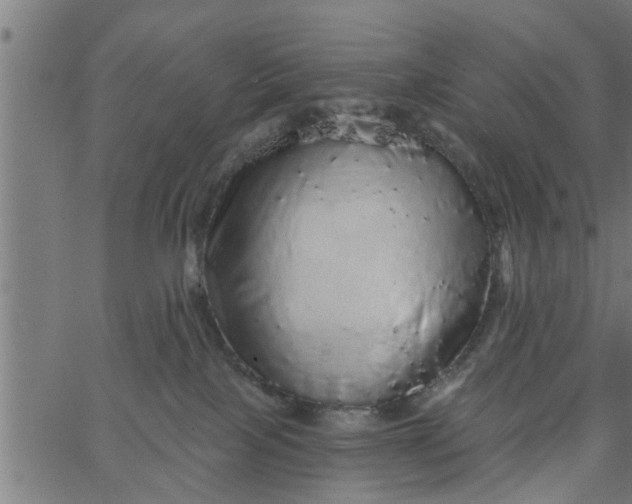 X0000066530089200603311831