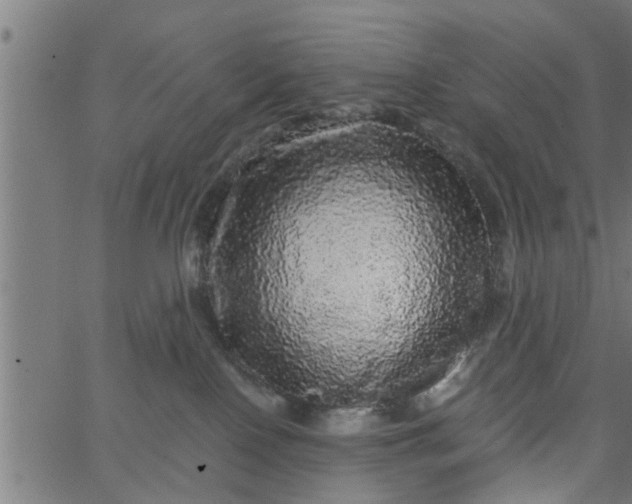 X0000066530090200603311831