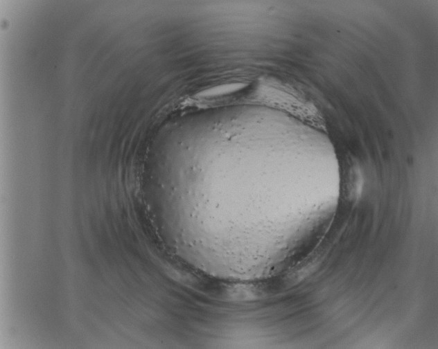 X0000066530091200603311831