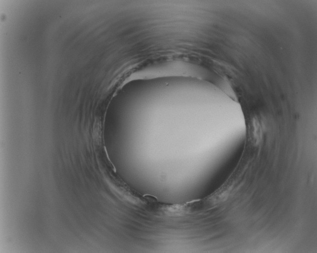 X0000066530092200603311831