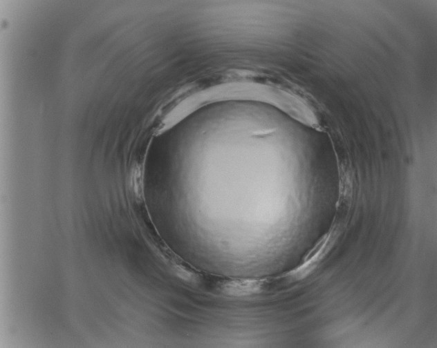 X0000066530094200603311831