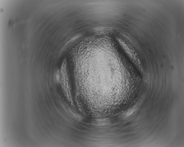 X0000066530095200603311831