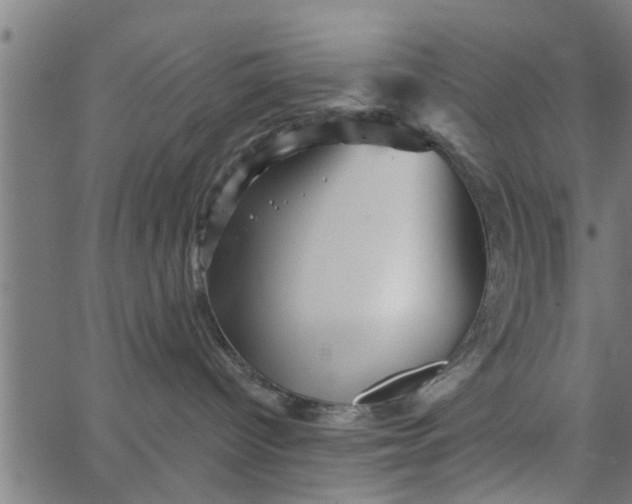 X0000066530096200603311831