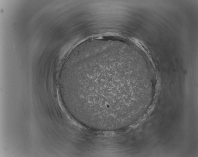 X0000066530097200603311830