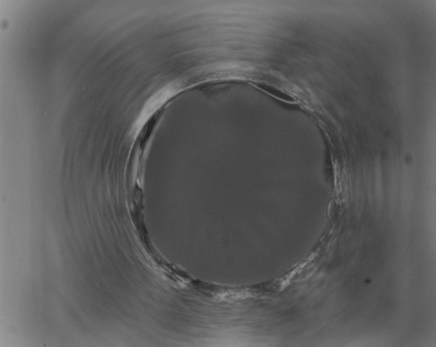 X0000066530099200603311830