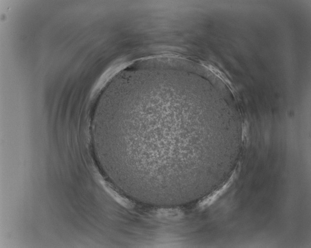 X0000066530101200603311830