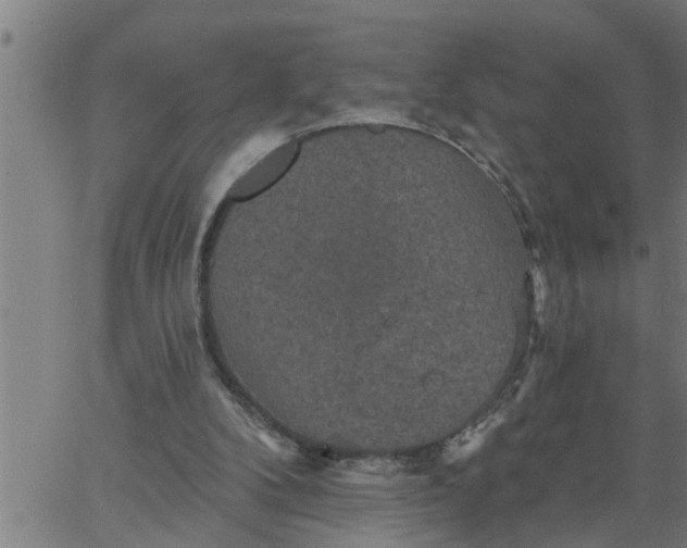 X0000066530104200603311830