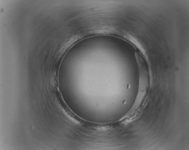 X0000066530105200603311830