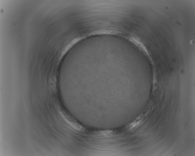 X0000066530108200603311830