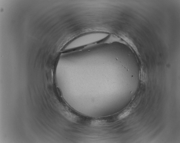 X0000066530109200603311830