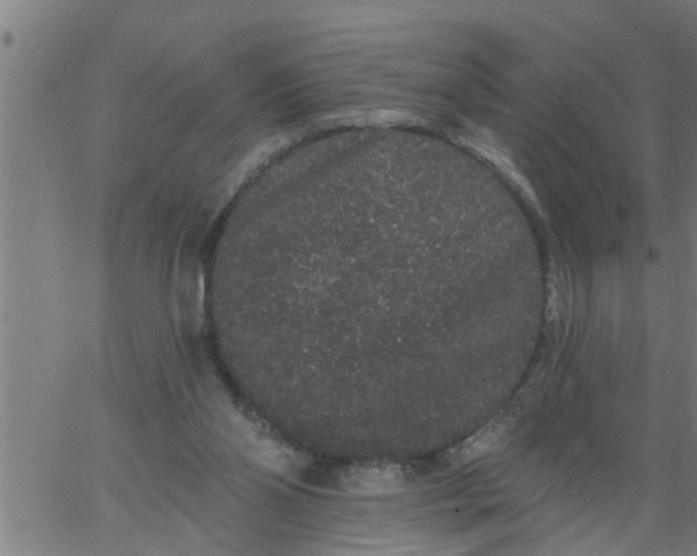 X0000066530110200603311830