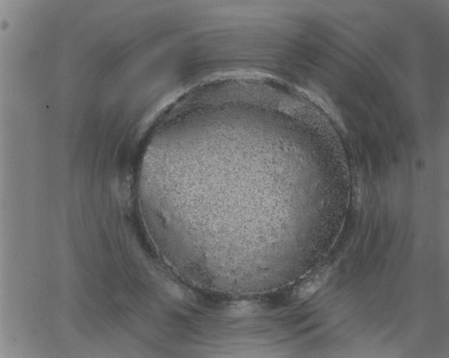 X0000066530111200603311830