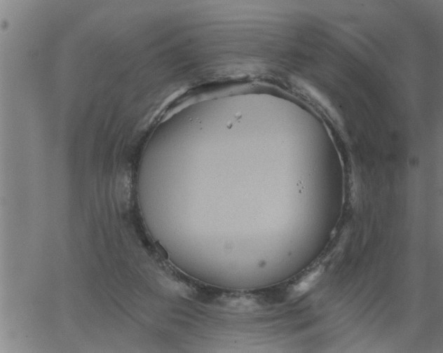 X0000066530113200603311830